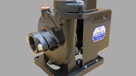 イワヤポンプ | 三相電機株式会社 | 先進の技術 人へ、地球へ…！