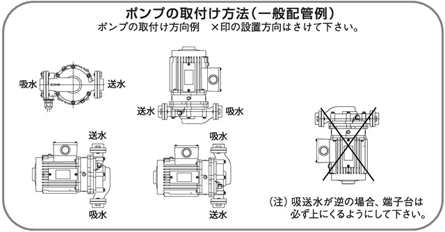 保障 三相電機 循環ラインポンプ 砲金製 20PBGZ-531B ラインポンプ 循環ポンプ 給湯器 エコキュート ソーラー ソーラーシステム チラー  クーリングタワー 熱交換器 電気温水器 給湯 温水循環ポンプ 温水ポンプ 給湯加圧ポンプ 給湯加圧器 ボイラー 冷却水 冷却塔